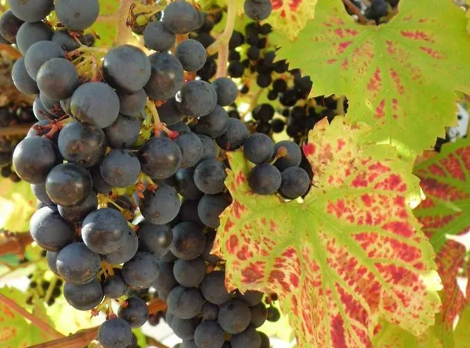 Zur Egge Bad Driburg